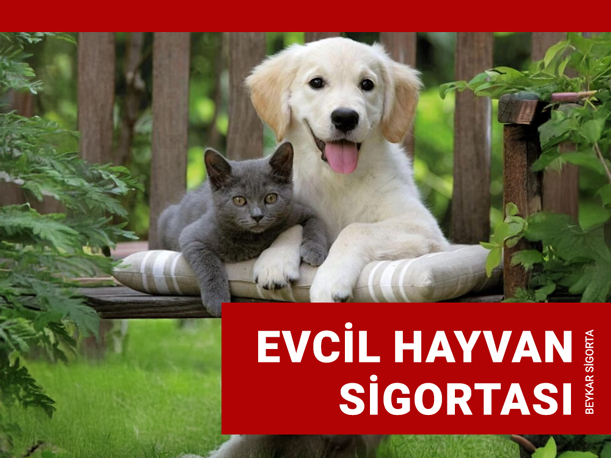 Evcil Hayvan Sigortası
